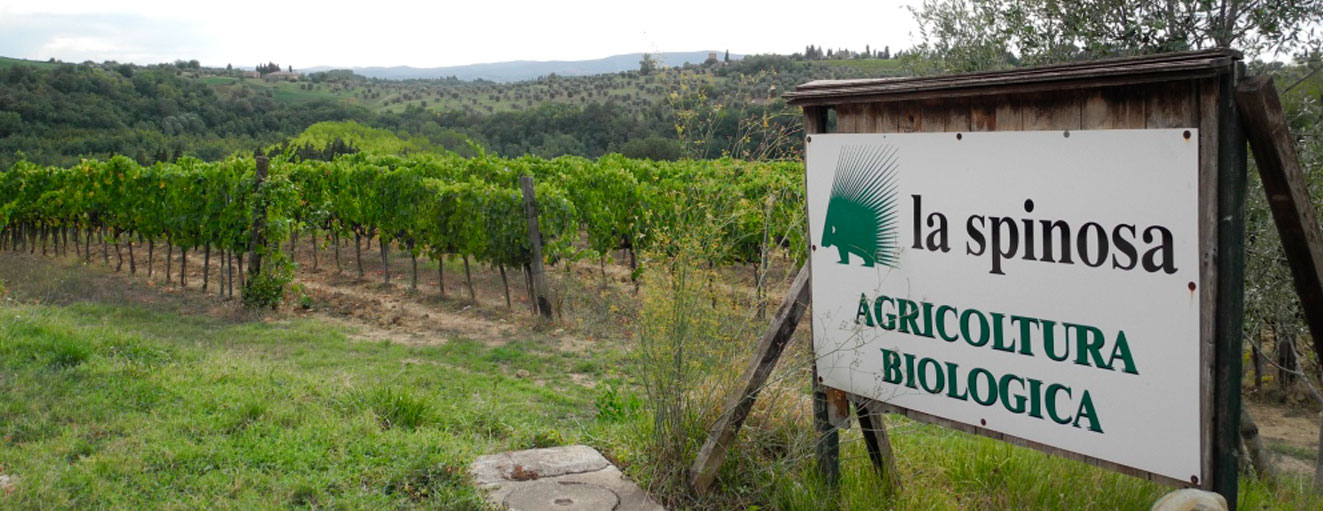 La Spinosa vingård i Toscana