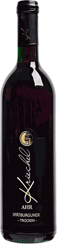 2016 Ahr Spätburgunder B Trocken 15
