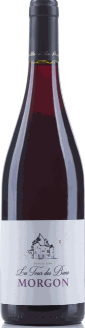 Domaine de la Tour des Bans Morgon 2022